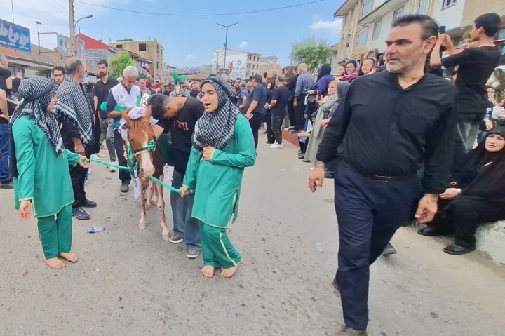 تعزیه ضیابر