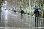 کاهش نسبی دما در ۷ استان نوار شمالی کشور