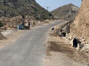 آغاز فاز سوم تکمیل زیرساخت‌های گردشگری ساحل دستیر پارسیان