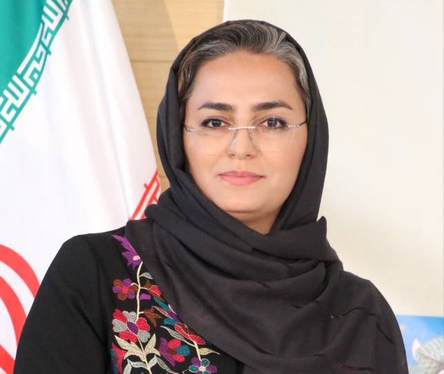 تنکابن از مسیر عبوری به مقصد گردشگری تبدیل شد/ 
نقش سمن‌ها و مشارکت مردمی در رونق گردشگری شهری