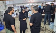 بازدید میدانی سرپرست میراث‌فرهنگی قزوین از روند فعالیت مواکب در مجتمع‌های بین‌راهی / تأکید بر اهمیت تکریم زائران و مسافران