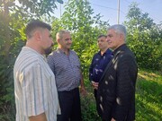 رودسر؛ کانون توسعه گردشگری کشاورزی با رویکرد اقتصاد سبز و معیشت پایدار