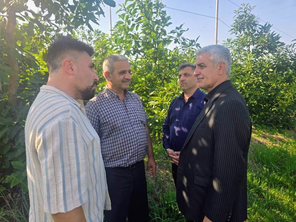 رودسر به کانون گردشگری کشاورزی با رویکرد اقتصاد سبز تبدیل میشود