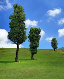 دشت مرکوه مینودشت؛ مقصدی آرام برای عاشقان طبیعت