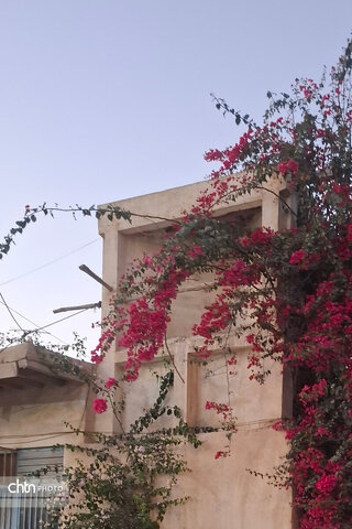 هرمزگان