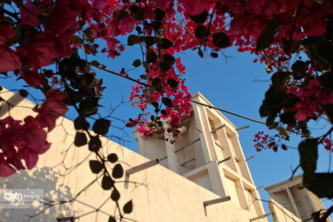 هرمزگان