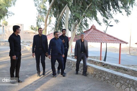 بازدید