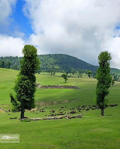مرکوههه