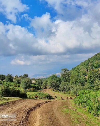 مرکوههه