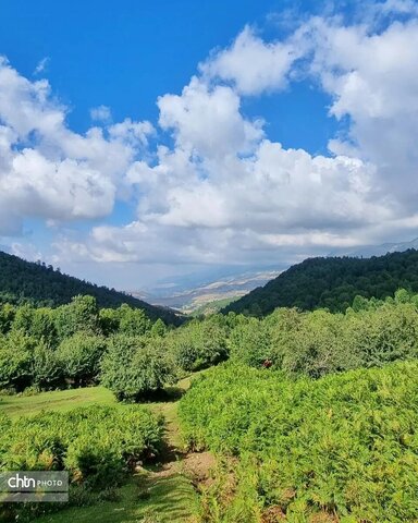 مرکوههه