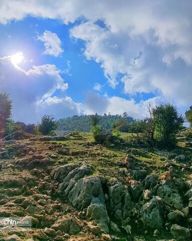 مرکوههه