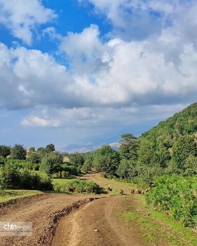 مرکوههه