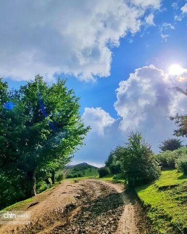 مرکوههه
