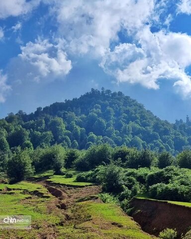 مرکوههه
