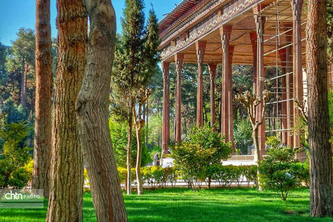 میراث طبیعی چهلستون زیر چتر حفاظت/ برنامه جامع اصفهان برای نگهداری از درختان ۴۰۰ ساله باغ جهانی چهلستون