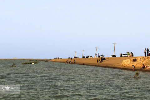 هامونک
