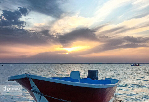 هامونک