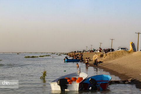 هامونک