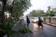 هشدار افزایش وزش باد در تهران