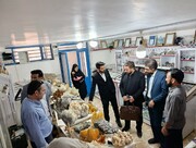 معرفی پایتخت زرشک بی‌دانه جهان به فعالان صنعت گردشگری افغانستان