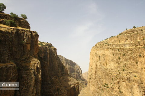 ویژدرون