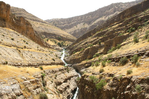 ویژدرون