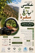 جشنواره عکاسی با محوریت گردشگری، فرهنگ و طبیعت در بیساران سروآباد برگزار می‌شود