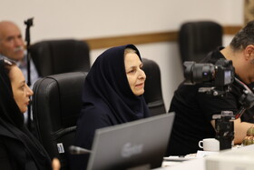 نشست خبری تشکیل تشکل حرفه ای صنایع دستی استان اصفهان