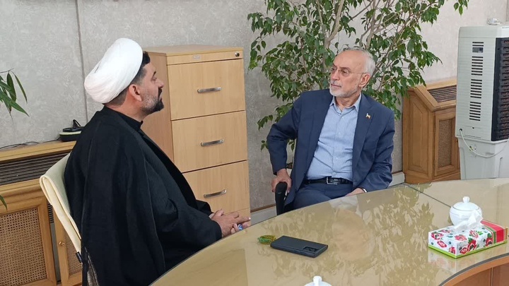 همایش «مادها تا زندیه» در ملایر برگزار می‌شود 