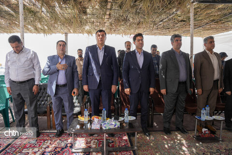 راور