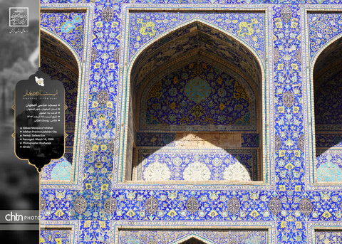 ایستاده در غبار