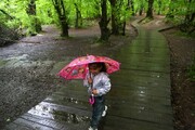 رگبار باران در آذربایجان غربی و سواحل جنوبی خزر