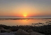 دمای هوا در استان بوشهر به آستانه ۵۰ درجه رسید