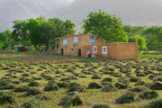 روستای نَوَره؛ ظرفیتی ارزشمند در گردشگری روستایی سنندج