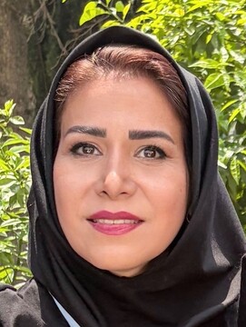 شیخ اشراق؛ سهروردی، فیلسوفی که جهان را با نور تفسیر کرد