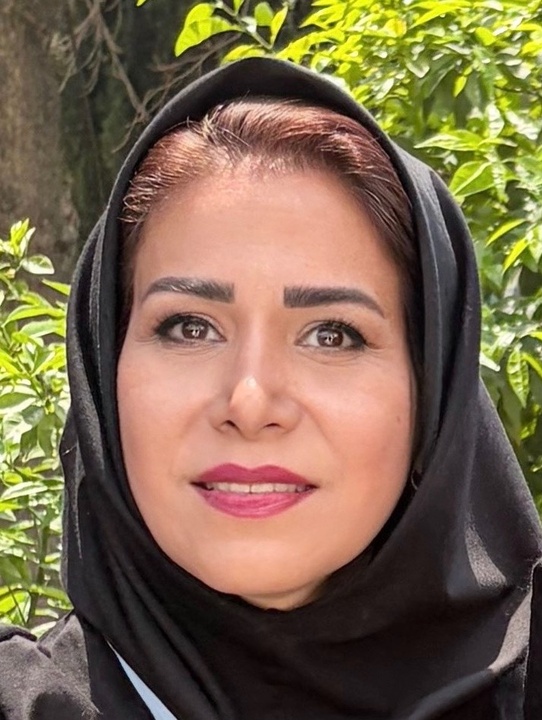 شیخ اشراق؛ سهروردی، فیلسوفی که جهان را با نور تفسیر کرد