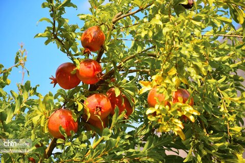روستای گردشگری بلبر؛ از مقاصد شاخص گردشگری منطقه هورامان