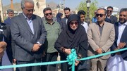 افتتاح ناوگان تاکسی‌های برقی مجتمع گردشگری دشت عمادبا حضور معاون رئیس جمهوری