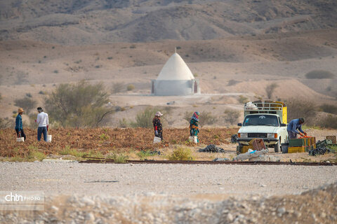 هرمزگان