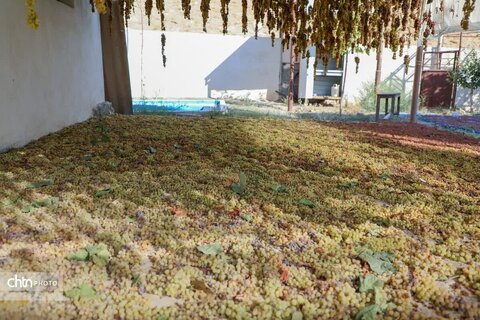 شیره پزی در روستای تاریخی و هدف گردشگری هزاوه