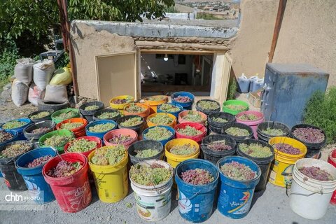 شیره پزی در روستای تاریخی و هدف گردشگری هزاوه