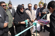 گامی در توسعه گردشگری سبز؛
افتتاح ناوگان تاکسی‌های برقی مجتمع گردشگری دشت عماد با حضور معاون رئیس جمهوری