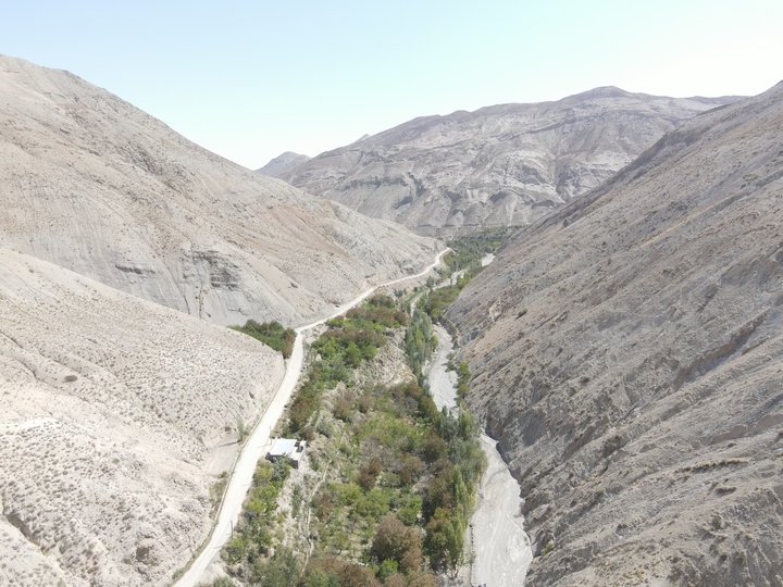 جوین