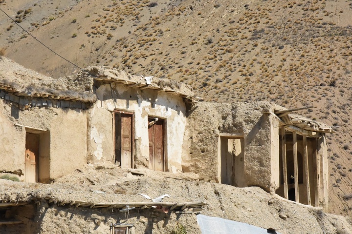 جوین