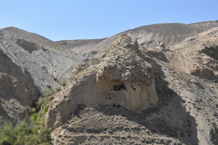 جوین