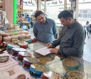 کارشناسان از تأسیسات گردشگری قم در ایام اربعین بازدید کردند