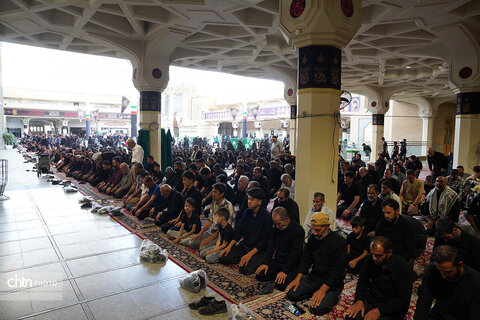 عزاداران اربعینی حسینی(ع) در حرم مطهر بانوی کرامت(س) قم