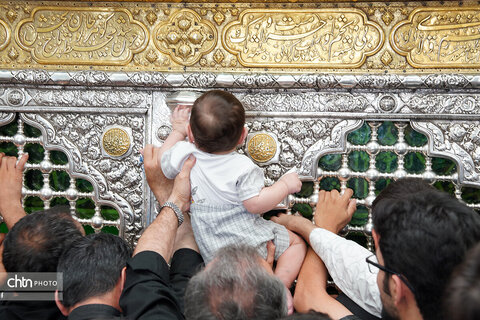 عزاداران اربعینی حسینی(ع) در حرم مطهر بانوی کرامت(س) قم