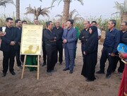 لوح ثبت ملی آیین «نینوای اریسمان» رونمایی شد