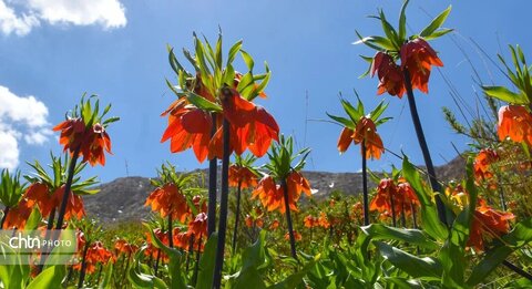 طبیعت خمین